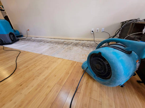 Professional Structural Drying technician working in Briceville, TN